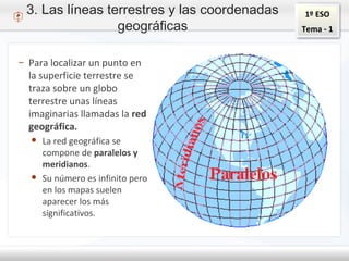 1º ESO
Tema - 1
3. Las líneas terrestres y las coordenadas
geográficas
– Para localizar un punto en
la superficie terrestre se
traza sobre un globo
terrestre unas líneas
imaginarias llamadas la red
geográfica.
● La red geográfica se
compone de paralelos y
meridianos.
● Su número es infinito pero
en los mapas suelen
aparecer los más
significativos.
 