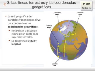 1º ESO
Tema - 1
3. Las líneas terrestres y las coordenadas
geográficas
– La red geográfica de
paralelos y meridianos sirve
para determinar las
coordenadas geográficas.
● Nos indican la situación
exacta de un punto en la
superficie terrestre.
● Se denominan latitud y
longitud.
 