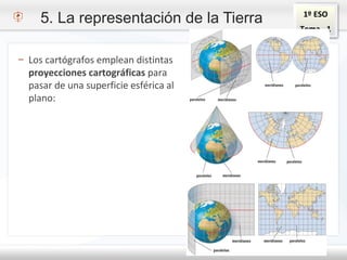 1º ESO
Tema - 1
5. La representación de la Tierra
– Los cartógrafos emplean distintas
proyecciones cartográficas para
pasar de una superficie esférica al
plano:
 