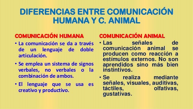Comunicacion Animal Y Lenguaje Humano Resumen www.slideshare.net