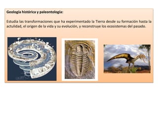 Geología histórica y paleontología:
Estudia las transformaciones que ha experimentado la Tierra desde su formación hasta la
actulidad, el origen de la vida y su evolución, y reconstruye los ecosistemas del pasado.
 