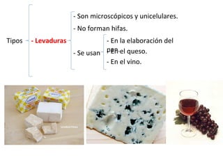 Tipos - Levaduras
- Son microscópicos y unicelulares.
- No forman hifas.
- Se usan
- En la elaboración del
pan.- En el queso.
- En el vino.
 