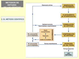 METODOS DE
ESTUDIO
DE LAS CIENCIAS
AMBIENTALES
2. EL MÉTODO CIENTIFICO
 