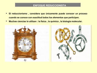 ENFOQUE REDUCCIONISTA
 El reduccionismo , considera que únicamente puede conocer un proceso
cuando se conoce con exactitud todos los elementos que participan.
 Muchas ciencias lo utilizan : la física , la química , la biología molecular.
 