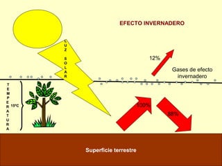 L
U
Z
S
O
L
A
R
Superficie terrestre
100%
88%
12%
T
E
M
P
E
R
A
T
U
R
A
15ºC
Gases de efecto
invernadero
EFECTO INVERNADERO
 