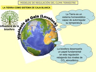 MODELOS DE REGULACIÓN DEL CLIMA TERRESTRE
LA TIERRA COMO SISTEMA DE CAJA BLANCA
La biosfera desempeña
un papel fundamental
en esta regulación
rebajando los niveles de
CO2 atmosférico
La Tierra es un
sistema homeostático
capaz de autorregular
su temperatura
Influencia de la
biosfera
 