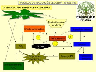 Influencia de la
biosfera
MODELOS DE REGULACIÓN DEL CLIMA TERRESTRE
LA TIERRA COMO SISTEMA DE CAJA BLANCA
Temperatura
Superficie helada
Albedo
+
-
-
+
Nubes
+
Efecto invernadero
+
+
-
+
+
Radiación solar
incidente
+
Polvo y SO2
+
++
CO2
+
+
Radiación
reflejada
Erupciones
volcánicas
FotosíntesisFotosíntesis
+
-
+
Almacenamiento
CO2
-
 