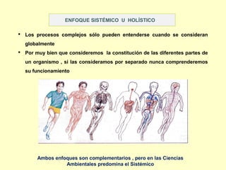 ENFOQUE SISTÉMICO U HOLÍSTICO
 Los procesos complejos sólo pueden entenderse cuando se consideran
globalmente
 Por muy bien que consideremos la constitución de las diferentes partes de
un organismo , si las consideramos por separado nunca comprenderemos
su funcionamiento
Ambos enfoques son complementarios , pero en las Ciencias
Ambientales predomina el Sistémico
 