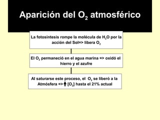 Aparición del O2 atmosférico
La fotosíntesis rompe la molécula de H2O por la
acción del Sol=> libera O2
El O2 permaneció en el agua marina => oxidó el
hierro y el azufre
Al saturarse este proceso, el O2 se liberó a la
Atmósfera => [O2] hasta el 21% actual
 