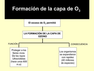 Formación de la capa de O3
El exceso de O2 permitió
LA FORMACIÓN DE LA CAPA DE
OZONO
Proteger a los
Seres vivos
De los rayos
Ultravioletas
(hace unos 600
m.a)
FUNCIÓN CONSECUENCIA
Los organismos
se expandieron
con rapidez
(40 millones
de especies)
 