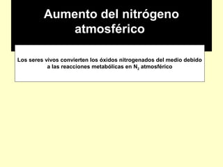 Aumento del nitrógeno
atmosférico
Los seres vivos convierten los óxidos nitrogenados del medio debido
a las reacciones metabólicas en N2 atmosférico
 