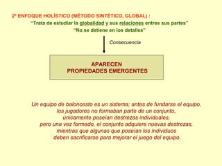 2º ENFOQUE HOLÍSTICO (MÉTODO SINTÉTICO, GLOBAL) :
“Trata de estudiar la globalidad y sus relaciones entres sus partes”
“No se detiene en los detalles”
Consecuencia
APARECEN
PROPIEDADES EMERGENTES
Un equipo de baloncesto es un sistema; antes de fundarse el equipo,
los jugadores no formaban parte de un conjunto,
únicamente poseían destrezas individuales,
pero una vez formado, el conjunto adquiere nuevas destrezas,
mientras que algunas que poseían los individuos
deben sacrificarse para mejorar el juego del equipo.
 