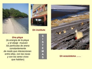 Una playa
(la energía de la playa
y el oleaje mueven
las partículas de arena
constantemente
de modo que interaccionan
entre ellas, con las rocas
y con los seres vivos
que habitan).
Un instituto
Un ecosistema ……
S
I
S
T
E
M
A
S
 
