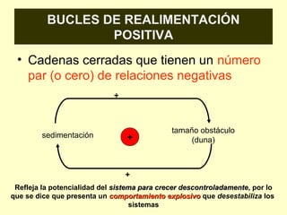 BUCLES DE REALIMENTACIÓN
POSITIVA
• Cadenas cerradas que tienen un número
par (o cero) de relaciones negativas
sedimentación
tamaño obstáculo
(duna)+
+
+
Refleja la potencialidad del sistema para crecer descontroladamentesistema para crecer descontroladamente, por lo
que se dice que presenta un comportamiento explosivocomportamiento explosivo que desestabiliza los
sistemas
 