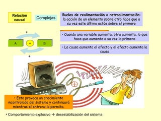 Relación
causal
Complejas
Retroalimentación positiva
Bucles de realimentación o retroalimentaciónBucles de realimentación o retroalimentación::
la acción de un elemento sobre otro hace que ala acción de un elemento sobre otro hace que a
su vez este último actúe sobre el primerosu vez este último actúe sobre el primero
BBAA
+
+
+
• Cuando una variable aumenta, otra aumenta, lo que
hace que aumente a su vez la primera
• La causa aumenta el efecto y el efecto aumenta la
causa
• Esto provoca un crecimiento
incontrolado del sistema y continuará
mientras el entrono lo permita.
• Comportamiento explosivo  desestabilización del sistema
 