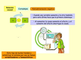 Relación
causal
Complejas Retroalimentación negativa
BBAA
+
-
-
• Cuando una variable aumenta y la otra también,
pero esta última hace que la primera disminuya
• Al aumentar la causa aumenta el efecto, y el
aumento del efecto amortigua la causa.
•Este tipo de bucles tienden a
estabilizar el sistema por eso se llaman
estabilizadores u homeostáticos
 