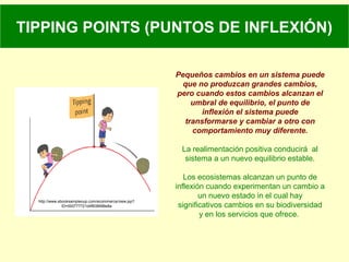 TIPPING POINTS (PUNTOS DE INFLEXIÓN)
Pequeños cambios en un sistema puede
que no produzcan grandes cambios,
pero cuando estos cambios alcanzan el
umbral de equilibrio, el punto de
inflexión el sistema puede
transformarse y cambiar a otro con
comportamiento muy diferente.
La realimentación positiva conducirá al
sistema a un nuevo equilibrio estable.
Los ecosistemas alcanzan un punto de
inflexión cuando experimentan un cambio a
un nuevo estado in el cual hay
significativos cambios en su biodiversidad
y en los servicios que ofrece.
http://www.ebooksampleoup.com/ecommerce/view.jsp?
ID=000777721d4f838996e8a
 