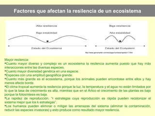 Factores que afectan la resilencia de un ecosistema
http://www.gerrymarten.com/ecologia-humana/capitulo11.html
Mayor resilencia:
Cuanto mayor diverso y complejo es un ecosistema la resilencia aumenta puesto que hay más
interacciones entre las diversas especies.
Cuanto mayor diversidad genética en una especie.
Especies con una amplitud geográfica grande.
Cuanto más grande es el ecosistema, porque los animales pueden encontrase entre ellos y hay
menos efecto borde.
El clima tropical aumenta la resilencia porque la luz, la temperatura y el agua no están limitados por
lo que la tasa de crecimiento es alta, mientras que en el Ártico el crecimiento de las plantas es bajo
porque la fotosíntesis es baja.
La rapidez de reproducción. “r estrategas cuya reproducción es rápida pueden recolonizar el
sistema mejor que los k estrategas”.
Los humanos pueden eliminar o mitigar las amenazas del sistema (eliminar la contaminación,
reducir las especies invasoras) y esto produce como resultado mayor resilencia.
 