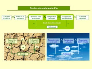 Bucles de realimentación
Actividad
volcánica
Polvo en la
atmósfera
Radiación solar
en el suelo
Temperatura
del suelo
Evaporación
desde el suelo
Humedad
del suelo
+ + + ▬▬
Nubosidad
+▬ Bucle de realimentación
Radiación solar
en el suelo
▬ +
Evaporación
desde el suelo
Nubosidad
▬
+Temperatura
del suelo
+Espesor de
suelo fértil
+ ▬
Infiltración
en el suelo
Erosión
▬
+
 