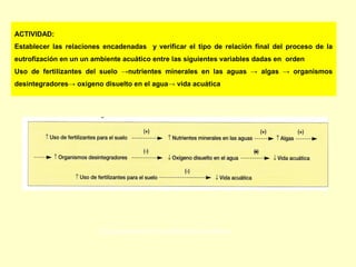 ACTIVIDAD:
Establecer las relaciones encadenadas y verificar el tipo de relación final del proceso de la
eutrofización en un un ambiente acuático entre las siguientes variables dadas en orden
Uso de fertilizantes del suelo →nutrientes minerales en las aguas → algas → organismos
desintegradores→ oxígeno disuelto en el agua→ vida acuática
Ej la eutrofización de ambientes acuáticos
 