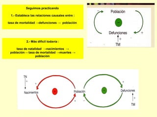 Seguimos practicando
1.- Establece las relaciones causales entre :
tasa de mortalidad →defunciones → población
2.- Más dificil todavía :
tasa de natalidad →nacimientos →
población→ tasa de mortalidad →muertes →
población
 