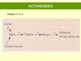 ACTIVIDADES
PÁGINA 17. Nº 4
 