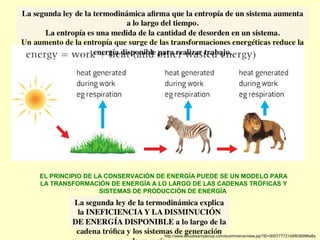 EL PRINCIPIO DE LA CONSERVACIÓN DE ENERGÍA PUEDE SE UN MODELO PARA
LA TRANSFORMACIÓN DE ENERGÍA A LO LARGO DE LAS CADENAS TRÓFICAS Y
SISTEMAS DE PRODUCCIÓN DE ENERGÍA
http://www.ebooksampleoup.com/ecommerce/view.jsp?ID=000777721d4f838996e8a
 