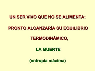 UN SER VIVO QUE NO SE ALIMENTA:UN SER VIVO QUE NO SE ALIMENTA:
PRONTO ALCANZARÍA SU EQUILIBRIOPRONTO ALCANZARÍA SU EQUILIBRIO
TERMODINÁMICO,TERMODINÁMICO,
LA MUERTELA MUERTE
(entropía máxima)(entropía máxima)
 
