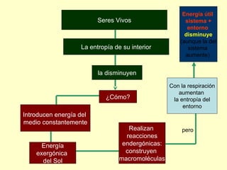 Seres Vivos
La entropía de su interior
¿Cómo?
la disminuyen
pero
Energía útil
sistema +
entorno
disminuye
(aunque la del
sistema
aumente)
Introducen energía del
medio constantemente
Energía
exergónica
del Sol
Realizan
reacciones
endergónicas:
construyen
macromoléculas
Con la respiración
aumentan
la entropía del
entorno
Seres Vivos
La entropía de su interior
¿Cómo?
la disminuyen
 
