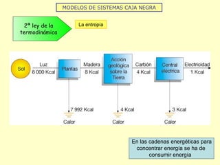 MODELOS DE SISTEMAS CAJA NEGRA
2ª ley de la
termodinámica
La entropía
En las cadenas energéticas para
concentrar energía se ha de
consumir energía
 