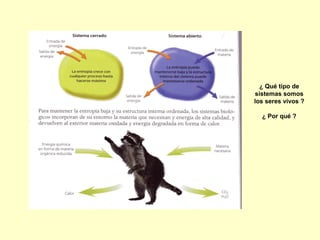 ¿ Qué tipo de
sistemas somos
los seres vivos ?
¿ Por qué ?
 