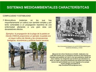 SISTEMAS MEDIOAMBIENTALES CARACTERÍSITCAS
COMPLEJIDAD Y ESTABILIDAD
 Monocultivos (sistemas en los que hay
mayoritariamente un cultivo) son también simples y por
tanto vulnerables a un propagación repentina de una
enfermedad afectando a una gran área con
devastadores efectos.
Ejemplos: la propagación de la plaga de la patata en
Irlanda (1845-8) proporciona un ejemplo; la patata era
el mayor cultivo de Irlanda y las consecuencias
biológicas, económicas y políticas fueron severas.
http://chrismielost.blogspot.com.es/2012/05/la-patata-la-gran-
hambruna-irlandesa-y_13.html
Memorial de la Gran Hambruna en Dublín dedicado a los
1.383.350 muertos que se produjeron durante la Gran Hambruna
Irlandesa que pudieran ser más y a los que podríamos añadir las
otras víctimas, los emigrantes que tuvieron que abandonar su
tierra, su hogar y las pocas posesiones que tenían para tratar de
buscar las oportunidades que le eran negadas en su propia
nación (imagen procedente de
http://innisfree1916.wordpress.com )
 