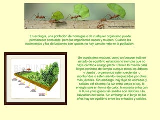 En ecología, una población de hormigas o de cualquier organismo puede
permanecer constante, pero los organismos nacen y mueren. Cuando los
nacimientos y las defunciones son iguales no hay cambio neto en la población.
http://www.hormigapedia.com
Un ecosistema maduro, como un bosque está en
estado de equilibrio estacionario siempre que no
haya cambios a largo plazo. Parece lo mismo para
largos periodos de tiempo aunque todos los árboles
y demás . organismos estén creciendo o
moribundos o estén siendo remplazados por otros
más jóvenes. Sin embargo, hay flujo de entradas y
salidas del sistema (la luz entra desde el sol, la
energía sale en forma de calor; la materia entra con
la lluvia y los gases las salidas son debidas a la
lixiviación del suelo. Sin embargo a lo largo de los
años hay un equilibrio entre las entradas y salidas.
 