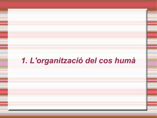 1. L'organització del cos humà
 