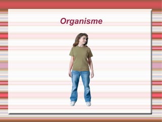 Organisme
 