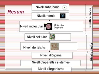 Resum
Nivell subatòmic
Molècules
Orgànuls
Nivell atòmic
Nivell molecular
Nivell cel·lular
Nivell de teixits
Nivell d'òrgans
Nivell d'aparells i sistemes
NivellsabiòticsNivellsbiòtics
Nivell d'organisme
 