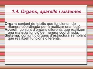1.4. Òrgans, aparells i sistemes
Òrgan: conjunt de teixits que funcionen de
manera coordinada per a realitzar una fució.
Aparell: conjunt d’òrgans diferents que realitzen
una mateixa funció de manera coordinada.
Sistema: conjunt d’òrgans d’estructura semblant
que realitzen funcions diferents.
 