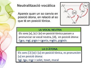 Neutralització vocàlica
Apareix quan un so canvia en
posició àtona, en relació al so
que té en posició tònica.
 