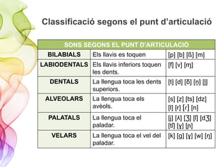 Classificació segons el punt d’articulació
SONS SEGONS EL PUNT D’ARTICULACIÓ
BILABIALS Els llavis es toquen [p] [b] [ß] [m]
LABIODENTALS Els llavis inferiors toquen
les dents.
[f] [v] [ɱ]
DENTALS La llengua toca les dents
superiors.
[t] [d] [δ] [ṋ] [ḽ]
ALVEOLARS La llengua toca els
avèols.
[s] [z] [ts] [dz]
[l] [r] [ɾ] [n]
PALATALS La llengua toca el
paladar.
[j] [ʎ] [Ʒ] [ſ] [dƷ]
[tſ] [ɣ] [ɲ]
VELARS La llengua toca el vel del
paladar.
[k] [g] [ɣ] [w] [ŋ]
 