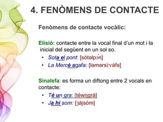 4. FENÒMENS DE CONTACTE
Fenòmens de contacte vocàlic:
Elisió: contacte entre la vocal final d’un mot i la
inicial del següent en un sol so.
•  Sota el pont: [sótǝlp!""n]
•  La Mercè agafa: [lǝmǝrs#$%áfǝ]
Sinalefa: es forma un diftong entre 2 vocals en
contacte:
•  Té un gra: [téwŋgrá]
•  Ja hi som: [Ʒájsóm]
 