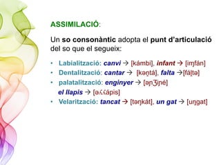 ASSIMILACIÓ:
Un so consonàntic adopta el punt d’articulació
del so que el segueix:
•  Labialització: canvi à [kámbi], infant à [iɱfán]
•  Dentalització: cantar à [kǝṋtá], falta à[fáḽtǝ]
•  palatalització: enginyer à [ǝɲƷiɲé]
el llapis à [ǝ&&ápis]
•  Velarització: tancat à [tǝŋkát], un gat à [uŋgat]
 