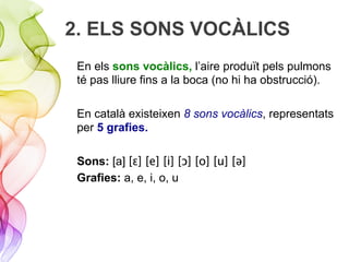 2. ELS SONS VOCÀLICS
En els sons vocàlics, l’aire produït pels pulmons
té pas lliure fins a la boca (no hi ha obstrucció).
En català existeixen 8 sons vocàlics, representats
per 5 grafies.
Sons: [a] [ɛ] [e] [i] [ɔ] [o] [u] [ǝ]
Grafies: a, e, i, o, u
 