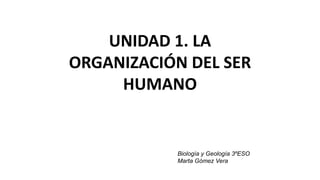 UNIDAD 1. LA
ORGANIZACIÓN DEL SER
HUMANO
Biología y Geología 3ºESO
Marta Gómez Vera
 