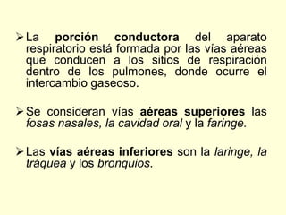 La porción conductora del aparato
respiratorio está formada por las vías aéreas
que conducen a los sitios de respiración
dentro de los pulmones, donde ocurre el
intercambio gaseoso.
Se consideran vías aéreas superiores las
fosas nasales, la cavidad oral y la faringe.
Las vías aéreas inferiores son la laringe, la
tráquea y los bronquios.
 
