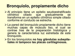 Bronquíolo, propiamente dicho
 Al principio tiene un epitelio seudoestratificado
cilíndrico ciliado que gradualmente se
transforma en un epitelio cilíndrico simple ciliado
conforme el conducto se estrecha.
 La pared del bronquíolo propiamente dicho tiene
muchas capas de músculo liso, el cual se
contrae tras de la preparación histológica y
genera la característica luz estrellada de este
bronquíolo.
 En los bronquíolos no hay glándulas subepite-
liales ni tampoco las placas cartilaginosas.
 