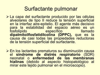 Surfactante pulmonar
 La capa del surfactante producido por las células
alveolares de tipo II reduce la tensión superficial
en la interfaz aire-epitelio. El agente más decisivo
para la estabilidad del espacio aéreo es un
fosfolípido específico llamado
dipalmitoilfosfatidilcolina (DPPC), que es la
causa de casi todas las propiedades reductoras
de la tensión superficial del surfactante.
 En los lactantes prematuros su disminución causa
el síndrome de distrés respiratorio (SDR)
neonatal o enfermedad de las membranas
hialinas (debido al aspecto histopatológico al
mirar este tejido pulmonar en el microscopio).
 