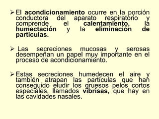 El acondicionamiento ocurre en la porción
conductora del aparato respiratorio y
comprende el calentamiento, la
humectación y la eliminación de
partículas.
 Las secreciones mucosas y serosas
desempeñan un papel muy importante en el
proceso de acondicionamiento.
Estas secreciones humedecen el aire y
también atrapan las partículas que han
conseguido eludir los gruesos pelos cortos
especiales, llamados vibrisas, que hay en
las cavidades nasales.
 