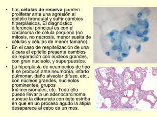 • Las células de reserva pueden
proliferar ante una agresión al
epitelio bronquial y sufrir cambios
hiperplásicos. El diagnóstico
diferencial principal es con el
carcinoma de célula pequeña (no
mitosis, no necrosis, menor suelta de
células y células de menor tamaño).
• En el caso de reepitelización de una
úlcera el epitelio presenta cambios
de reparación con núcleos grandes,
con gran nucleolo, y superpuestos.
• La hiperplasia de neumocitos de tipo
II se produce ante neumonía, infarto
pulmonar, daño alveolar difuso, etc.,
con núcleos grandes, nucleolos
prominentes, grupos
tridimensionales, etc. Todo ello
puede llevar a un adenocarcinoma,
aunque la diferencia con éste estriba
en que en un proceso agudo la atipia
desaparece al cabo de un mes.
 