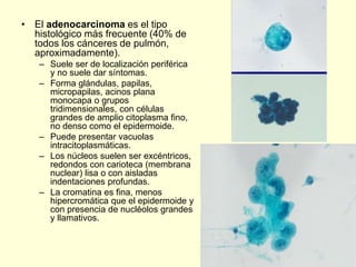 • El adenocarcinoma es el tipo
histológico más frecuente (40% de
todos los cánceres de pulmón,
aproximadamente).
– Suele ser de localización periférica
y no suele dar síntomas.
– Forma glándulas, papilas,
micropapilas, acinos plana
monocapa o grupos
tridimensionales, con células
grandes de amplio citoplasma fino,
no denso como el epidermoide.
– Puede presentar vacuolas
intracitoplasmáticas.
– Los núcleos suelen ser excéntricos,
redondos con carioteca (membrana
nuclear) lisa o con aisladas
indentaciones profundas.
– La cromatina es fina, menos
hipercromática que el epidermoide y
con presencia de nucléolos grandes
y llamativos.
 