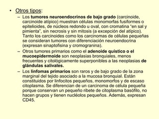 • Otros tipos:
– Los tumores neuroendocrinos de bajo grado (carcinoide,
carcinoide atípico) muestran células monomorfas fusiformes o
epitelioides, de núcleos redondo u oval, con cromatina “en sal y
pimienta”, sin necrosis y sin mitosis (a excepción del atípico).
Tanto los carcinoides como los carcinomas de células pequeñas
se consideran tumores con diferenciación neuroendocrina
(expresan sinaptofisina y cromogranina).
– Otros tumores primarios como el adenoide quístico o el
mucoepidermoide son neoplasias bronquiales, menos
frecuentes y citológicamente superponibles a las neoplasias de
glándulas salivales.
– Los linfomas primarios son raros y de bajo grado de la zona
marginal del tejido asociado a la mucosa bronquial. Están
constituidos por linfocitos pequeños, monomorfos y de escaso
citoplasma. Se diferencian de un carcinoma de célula pequeña
porque conservan un pequeño ribete de citoplasma basófilo, no
hacen grupos y tienen nucléolos pequeños. Además, expresan
CD45.
 